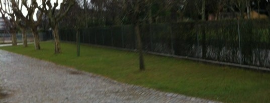 Quinta do Covelo is one of Porto.