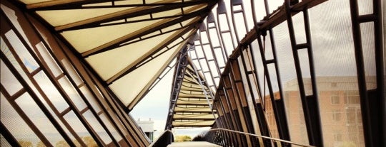 Amgen Helix Bridge is one of Rohan’s Liked Places.