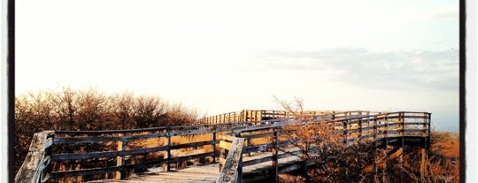 First Landing State Park is one of Turbofugg American Road Trip 17.