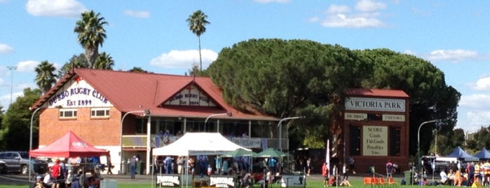 Victoria Park is one of Dubbo Festival 2012.