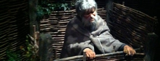 Jorvik Viking Centre is one of Carlさんのお気に入りスポット.