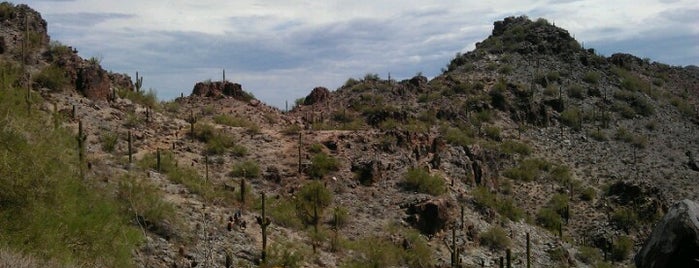 Phoenix Mountains Park and Recreation Area is one of Lieux sauvegardés par Chuck.