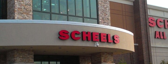 Scheels is one of dSM.