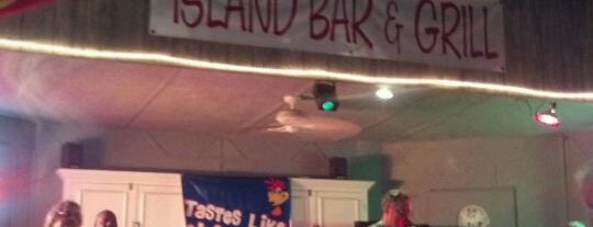 Island Bar & Grill is one of สถานที่ที่ Scott ถูกใจ.
