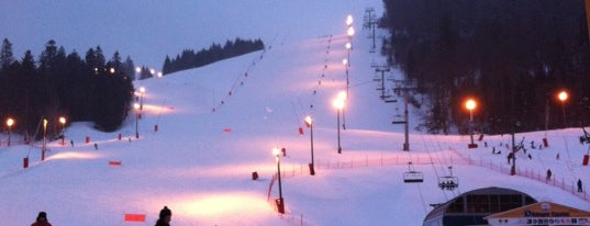 La Bresse-Hohneck is one of Les 200 principales stations de Ski françaises.