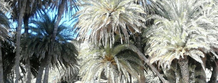 Vai Palm Forest is one of Κρήτη μου💕.