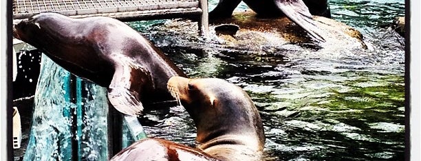 セントラルパーク動物園 is one of NYC.