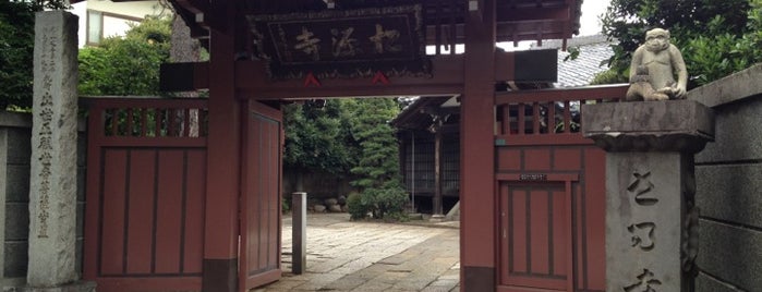 松源寺 さる寺 is one of Hide : понравившиеся места.