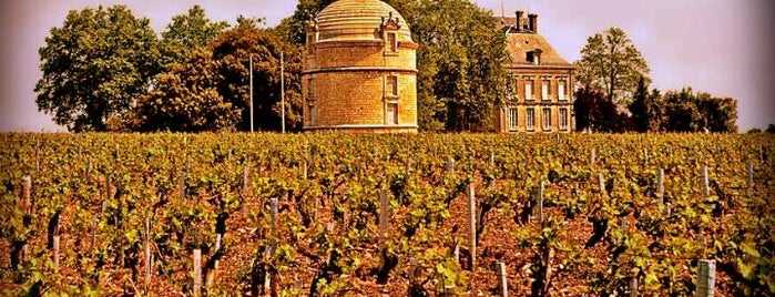 Château Latour is one of Recommended wine producers.