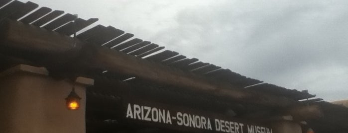 Arizona-Sonora Desert Museum is one of 5 Tucson Art Studio Classes.