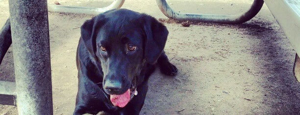 French Lake Off-Leash Dog Park is one of Lugares guardados de Tim.