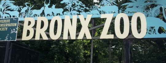 Bronx Zoo is one of New York.
