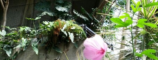 Barbican Conservatory is one of London.