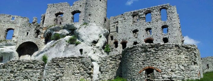 Zamek Ogrodzieniec is one of World Castle List.