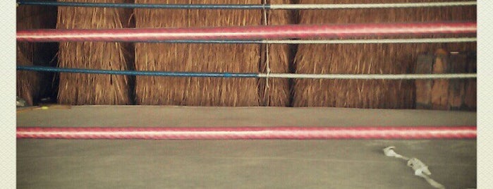 Sing Prasert Muay Thai Gym is one of Chiang Mai Gyms.