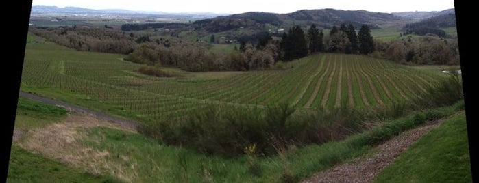 Youngberg Hill is one of Wineries in willamette valley OR.