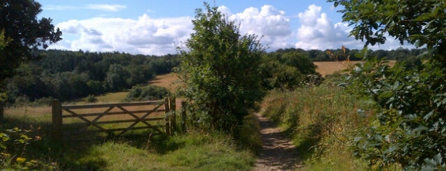 Walk 1: North Mymms Park is one of Hertfordshire pub walks.