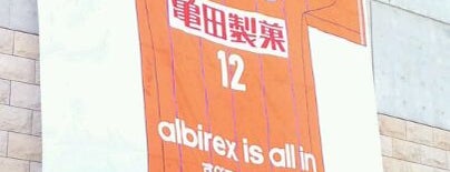 アルビレックス新潟 - Albirex Niigata