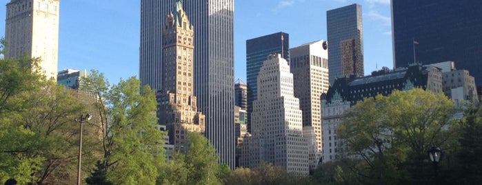 Wollman Rink is one of Experience Central Park on The Mark Bikes.