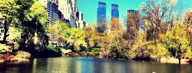 Central Park is one of NYC - A faire.