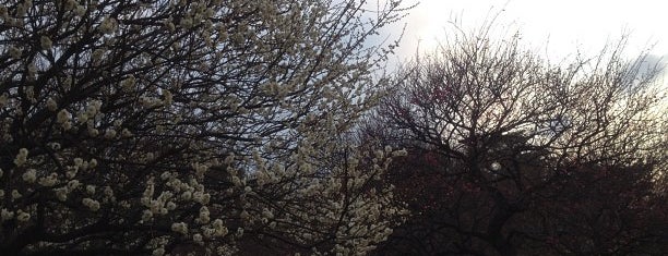 野川公園 is one of 東京の名湧水57選.