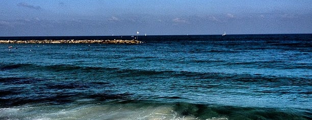 Пляж Мэцицим is one of tel aviv.