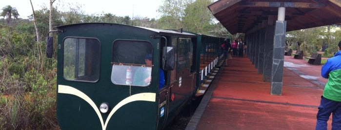 Estación Central [Tren Ecológico de la Selva] is one of สถานที่ที่ Fabiola ถูกใจ.