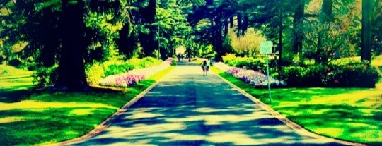 Fitzroy Gardens is one of Parks & Gardens.