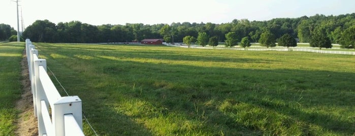 Grant's Trail at Pardee is one of Trails in metro St, Louis Area.