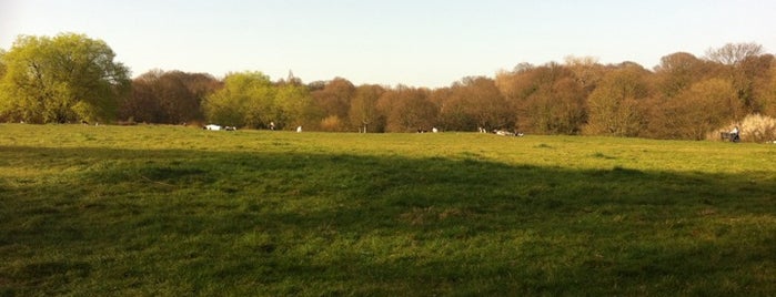 Hampstead Heath is one of Places to run.