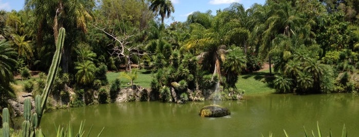 Pinecrest Gardens is one of Miami: history, culture, and outdoors.