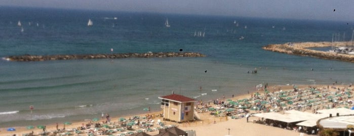 Frishman Beach is one of tel aviv.