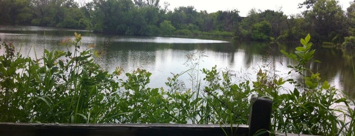 Elm Fork Nature Preserve @ McInnish Park is one of Shaneさんのお気に入りスポット.