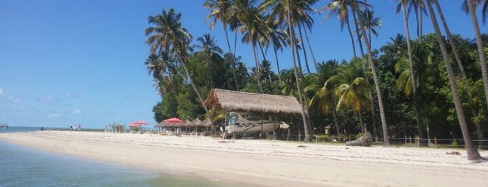 Praia dos Carneiros is one of Praias Pernambuco (Beach).