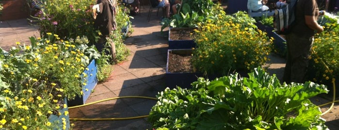 Queen Elizabeth Hall Roof Garden is one of Bons plans Londres.