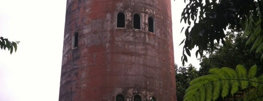 Yokahu Tower is one of Things To Do In Puerto Rico.
