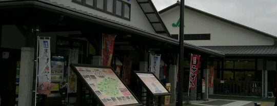 道の駅 ひなの里かつうら is one of 四国の道の駅 Roadside Station in Shikoku.