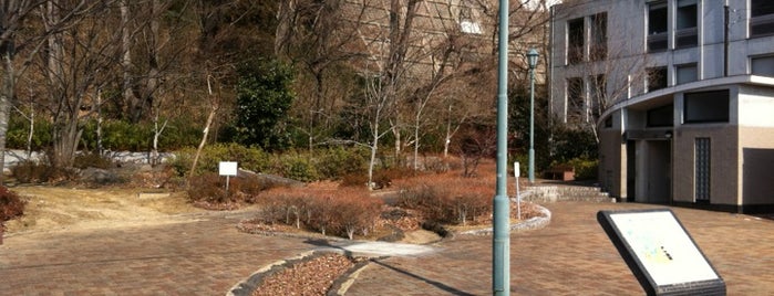 春日町緑地公園 is one of レジャー・アウトドア.
