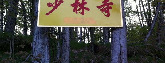 USA Shaolin Temple is one of Mona: сохраненные места.