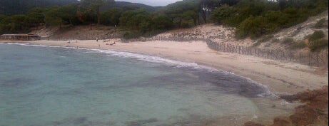 Plage de Palombaggia is one of Corsica.