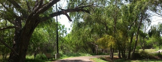 North Central Park is one of Lugares guardados de Carlos.