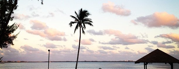 Alice Wainwright Park is one of Miami: history, culture, and outdoors.