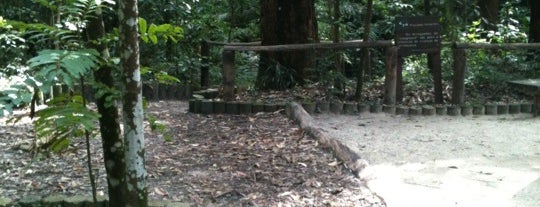 Parque Colina de São Francisco is one of Lieux qui ont plu à Estevão.