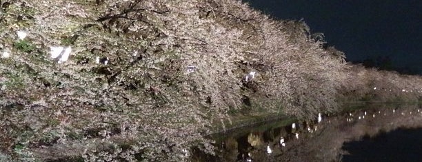 Hirosaki Park is one of Travel : Sakura Spot.