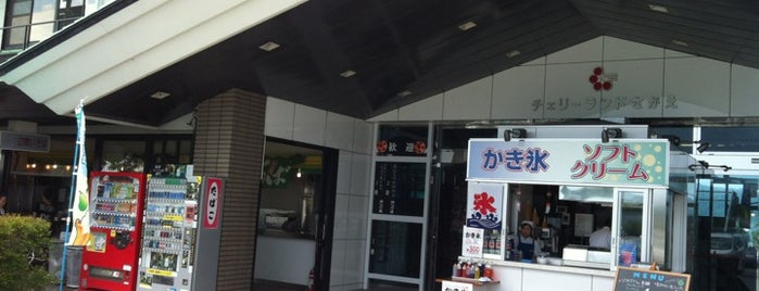 道の駅 寒河江 チェリーランド is one of 道の駅.