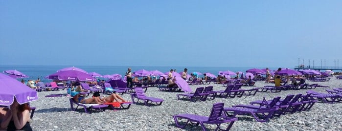 Purple Umbrellas is one of Tempat yang Disukai Galina.