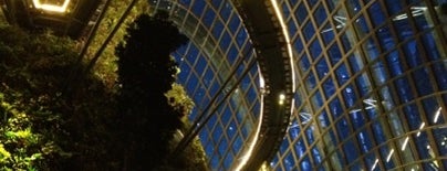 Cloud Forest is one of Singapore.