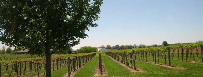 Huber's Orchard, Winery, & Vineyards is one of Indiana Uplands Wine Trail.