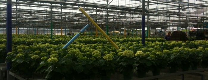Terra Greenhouses is one of Chris : понравившиеся места.