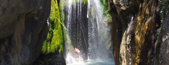 Les Fonts de L'Algar is one of Benidorm.